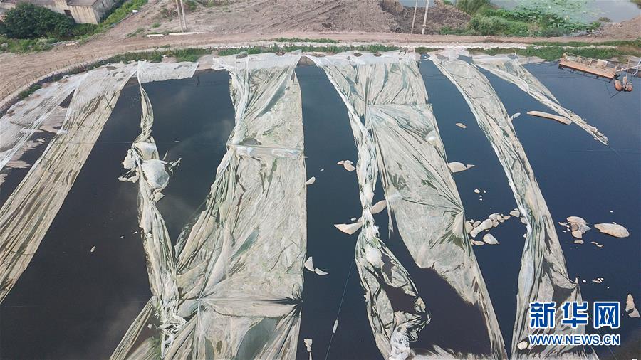 （新華視點&middot;圖文互動）（4）中央督察兩年有的絲毫未改，有的不減反增&mdash;&mdash;江蘇泰興數萬噸化工廢料和污泥堆放長江邊調查