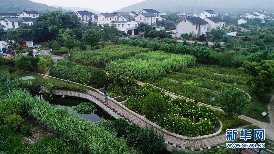 （在習近平新時代中國特色社會主義思想指引下&mdash;&mdash;新時代新作為新篇章&middot;圖文互動）（1）稀奇！治污濕地成了休閑公園&mdash;&mdash;江蘇蘇州全域推進農(nóng)村生活污水治理
