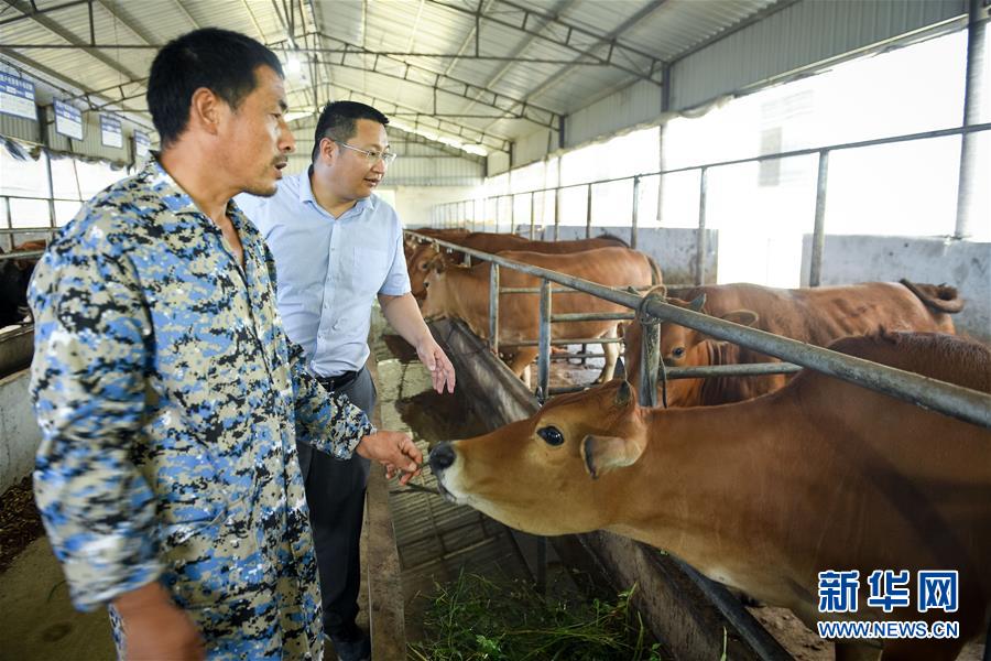 （脫貧攻堅&middot;圖文互動）（2）&ldquo;不畏難、不畏煩、不畏苦&rdquo;&mdash;&mdash;記&ldquo;80后&rdquo;扶貧干部李朝陽