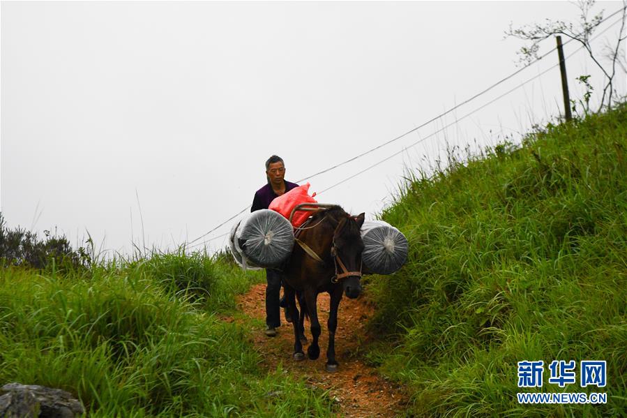 （新華全媒頭條&middot;圖文互動）（4）一個人，一座山&mdash;&mdash;劉真茂的生命守望