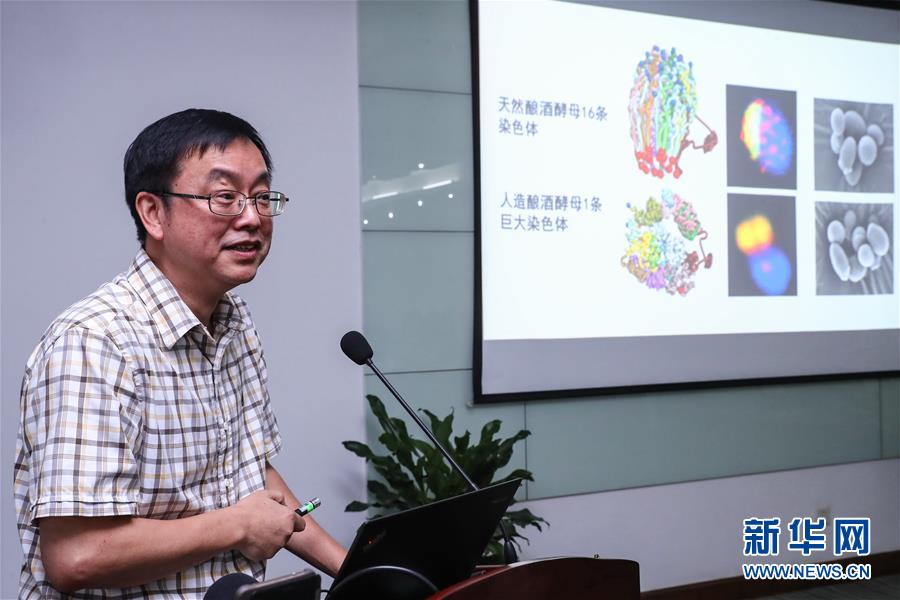 （科技）（2）中國&ldquo;創(chuàng)造&rdquo;世界首例單條染色體真核細(xì)胞