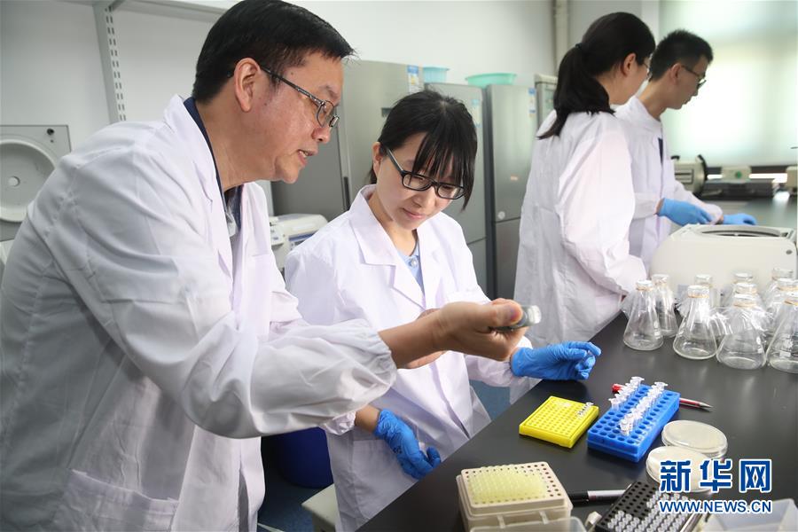 （新華全媒頭條&middot;圖文互動）（1）人造單條染色體真核細胞問世　我國開啟合成生物學研究新時代