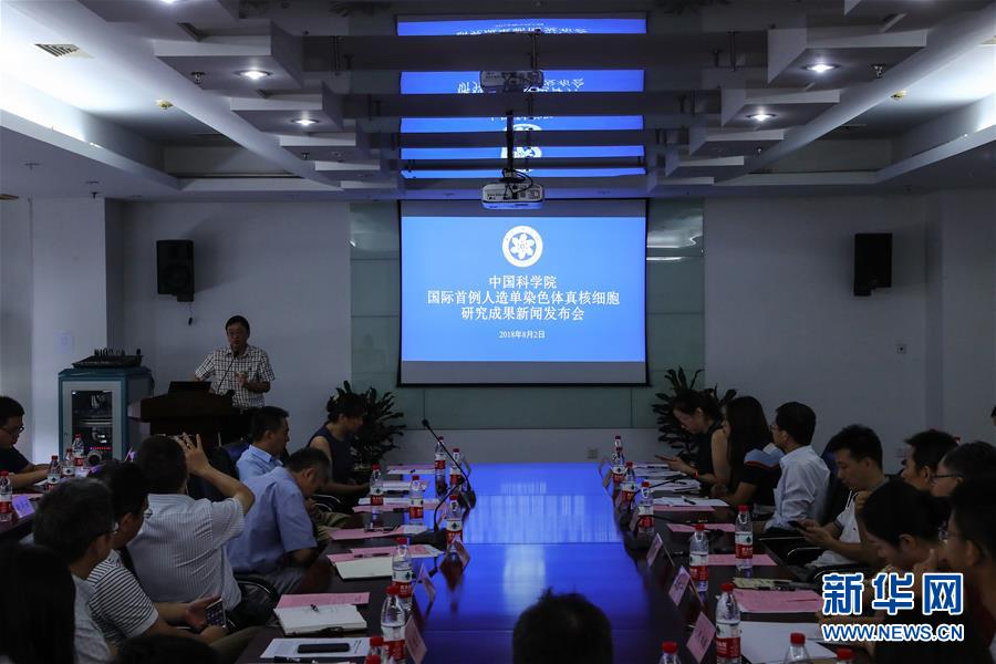 （新華全媒頭條&middot;圖文互動）（6）人造單條染色體真核細(xì)胞問世　我國開啟合成生物學(xué)研究新時代