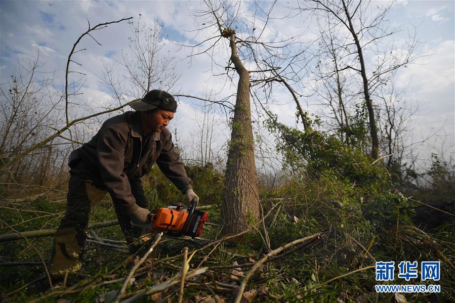 （大江奔流&mdash;&mdash;來自長(zhǎng)江經(jīng)濟(jì)帶的報(bào)道&middot;新華全媒頭條&middot;圖文互動(dòng)）（6）打造經(jīng)濟(jì)高質(zhì)量發(fā)展的強(qiáng)勁引擎&mdash;&mdash;深入推動(dòng)長(zhǎng)江經(jīng)濟(jì)帶發(fā)展述評(píng)