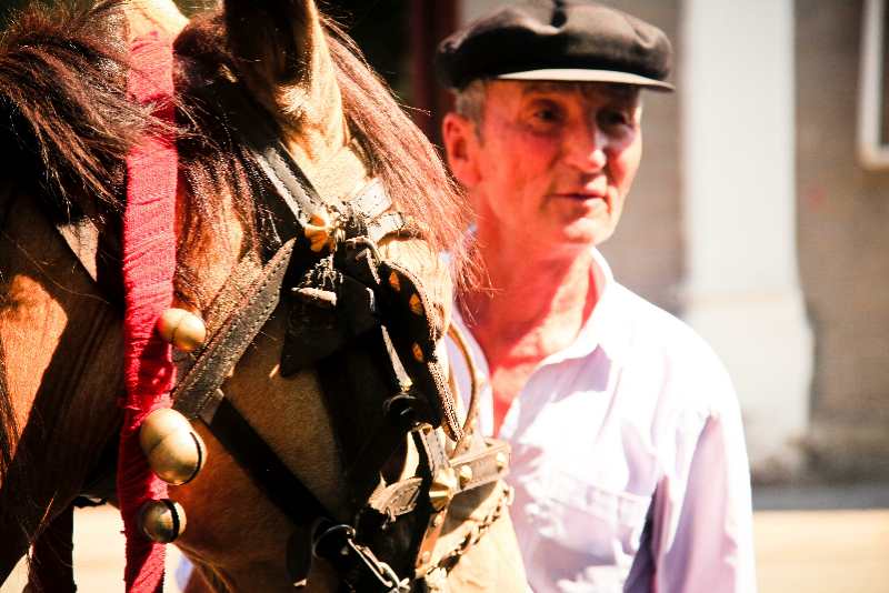 【新時代幸福美麗新邊疆】去伊犁喀贊其拜訪&ldquo;生活在宮殿里的老百姓&rdquo;