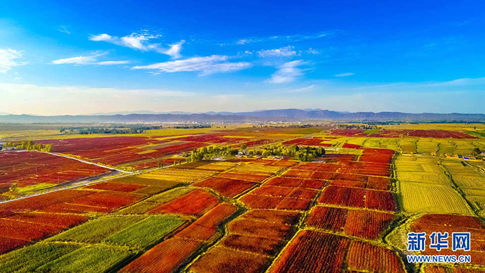 秋收的中國(guó)，你想象不到的美！但更美的是&hellip;&hellip;