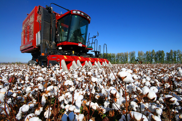 秋收的中國(guó)，你想象不到的美！但更美的是&hellip;&hellip;