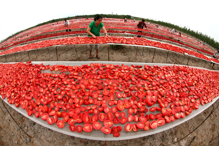 秋收的中國(guó)，你想象不到的美！但更美的是&hellip;&hellip;