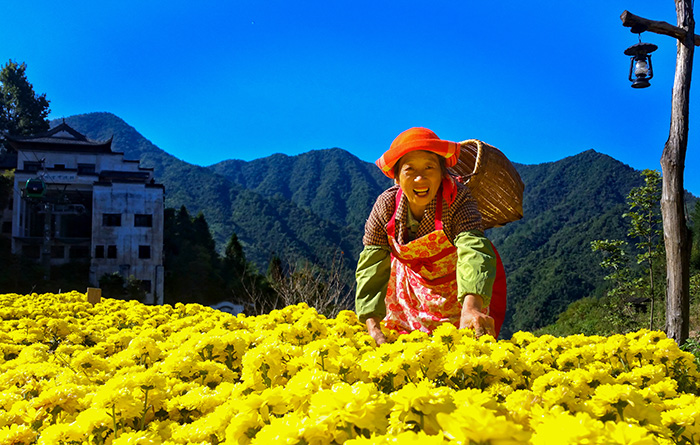 秋收的中國(guó)，你想象不到的美！但更美的是&hellip;&hellip;