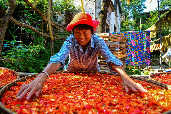 秋收的中國(guó)，你想象不到的美！但更美的是&hellip;&hellip;