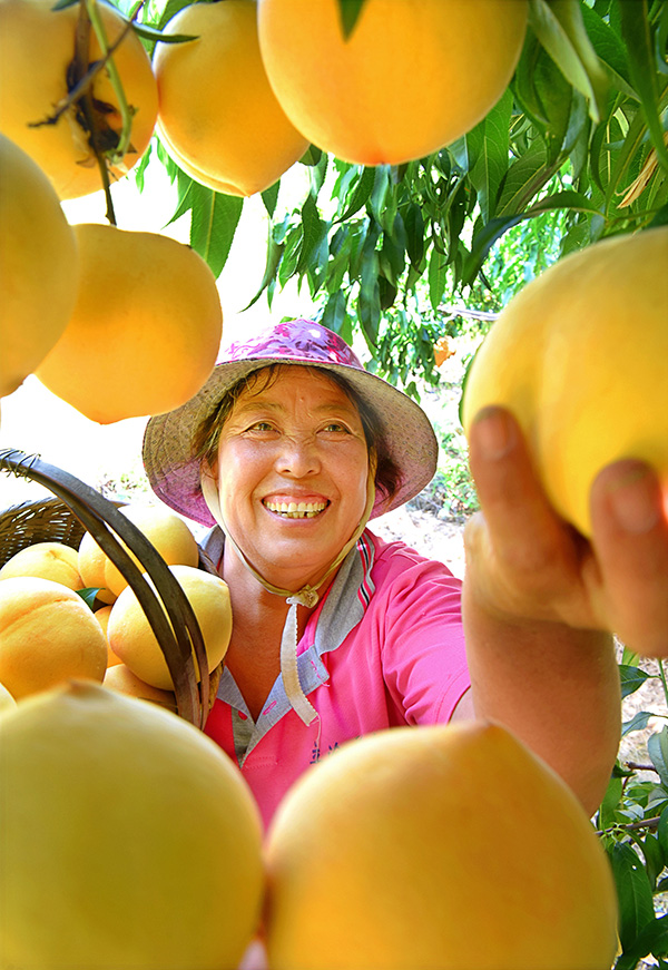 秋收的中國(guó)，你想象不到的美！但更美的是&hellip;&hellip;