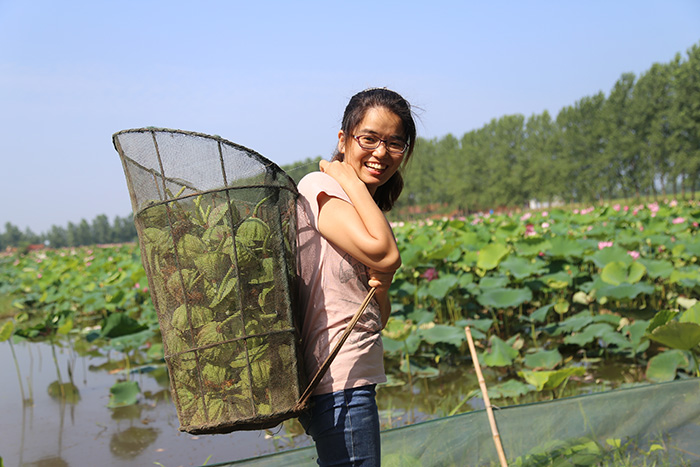 秋收的中國(guó)，你想象不到的美！但更美的是&hellip;&hellip;