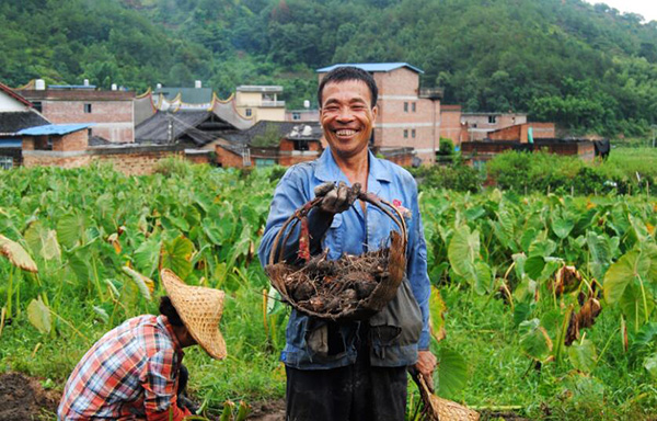 秋收的中國(guó)，你想象不到的美！但更美的是&hellip;&hellip;