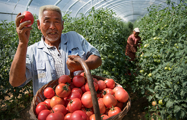 秋收的中國(guó)，你想象不到的美！但更美的是&hellip;&hellip;