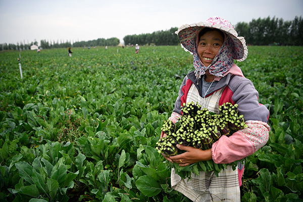 秋收的中國(guó)，你想象不到的美！但更美的是&hellip;&hellip;
