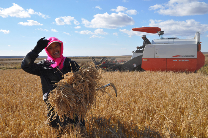 秋收的中國(guó)，你想象不到的美！但更美的是&hellip;&hellip;