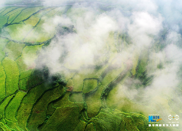 秋收的中國(guó)，你想象不到的美！但更美的是&hellip;&hellip;