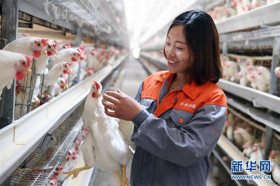 （新華全媒頭條&middot;圖文互動）（1）希望灑在金色田野&mdash;&mdash;寫在鄉(xiāng)村振興戰(zhàn)略實(shí)施一周年之際