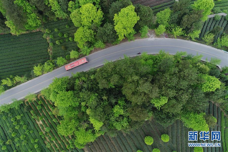（新華全媒頭條&middot;圖文互動）（6）希望灑在金色田野&mdash;&mdash;寫在鄉(xiāng)村振興戰(zhàn)略實(shí)施一周年之際