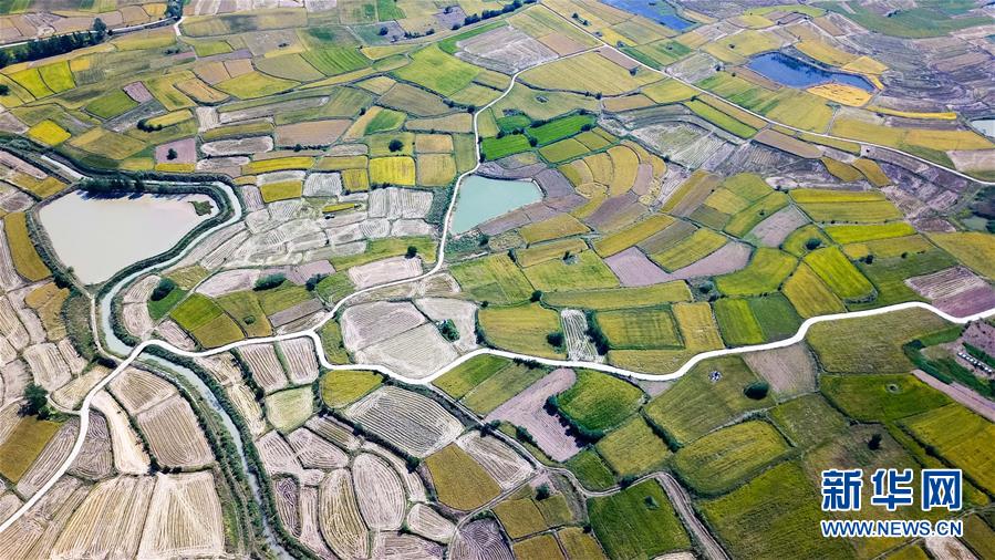 （新華全媒頭條&middot;圖文互動）（8）希望灑在金色田野&mdash;&mdash;寫在鄉(xiāng)村振興戰(zhàn)略實(shí)施一周年之際