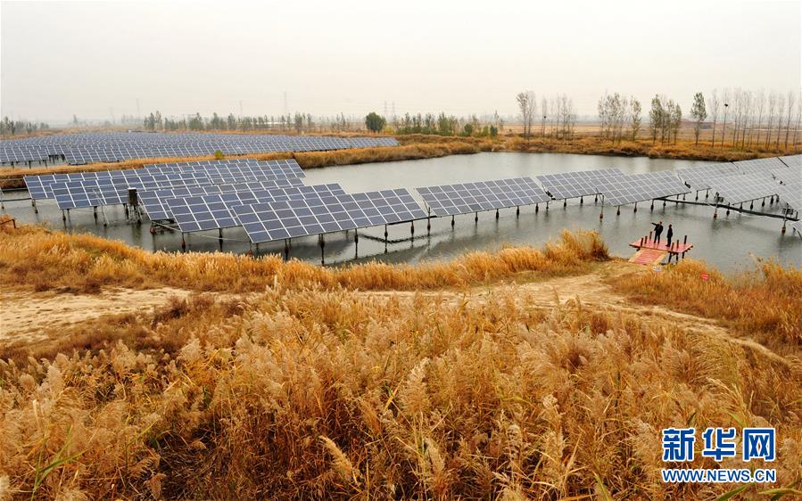 #（社會）河北南皮：&ldquo;漁光互補(bǔ)&rdquo;光伏電站鋪就綠色扶貧路