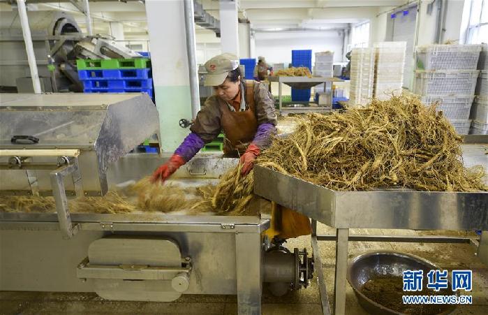 （百城百縣百企調(diào)研行&middot;圖文互動(dòng)）（5）吉林集安：邊陲&ldquo;綠色明珠&rdquo;為何如此閃亮？