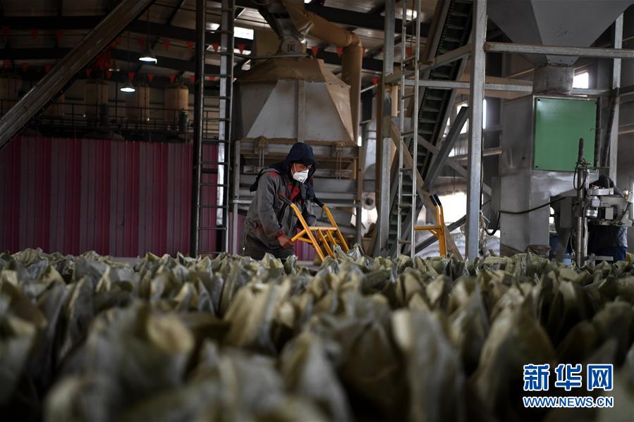 （在習(xí)近平新時代中國特色社會主義思想指引下&mdash;&mdash;新時代新氣象新作為&middot;鄉(xiāng)村振興戰(zhàn)略&middot;圖文互動）（1）&ldquo;與其放火，不如打包&rdquo;&mdash;&mdash;山西渾源秸稈綜合再利用見聞