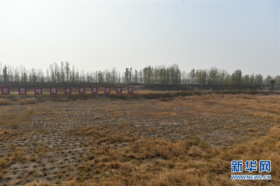 （在習近平新時代中國特色社會主義思想指引下&middot;慶祝改革開放40周年&middot;綠色發(fā)展）（新華全媒頭條&middot;圖文互動）（6）綠色發(fā)展：書寫在中國大地上的美麗畫卷