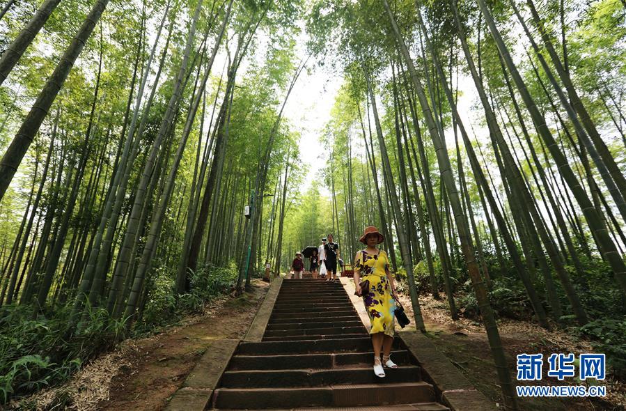 （在習(xí)近平新時(shí)代中國(guó)特色社會(huì)主義思想指引下&middot;慶祝改革開放40周年&middot;綠色發(fā)展&middot;圖文互動(dòng)）（1）向陽(yáng)花木易為春&mdash;&mdash;綠色發(fā)展之&ldquo;木&rdquo;的故事