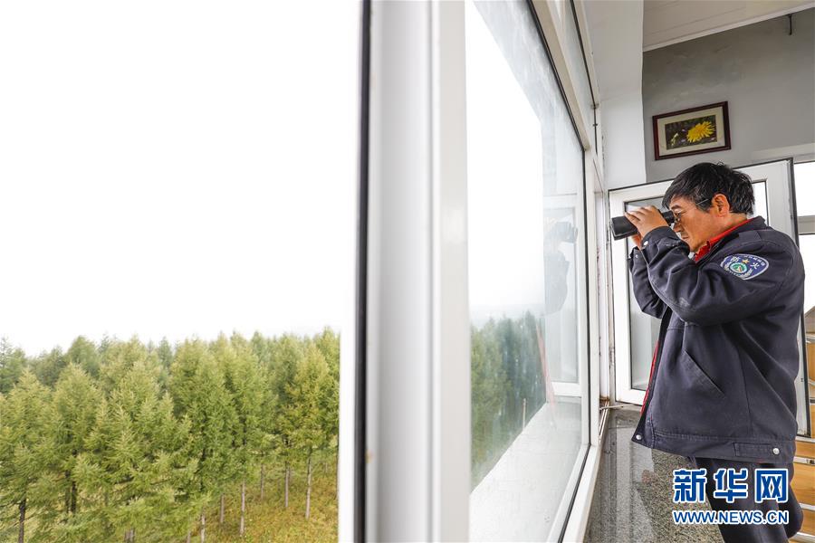 （新華全媒頭條&middot;圖文互動）（3）那一抹綠色，走進(jìn)越來越多人心里&mdash;&mdash;河北塞罕壩續(xù)寫新時代綠色傳奇