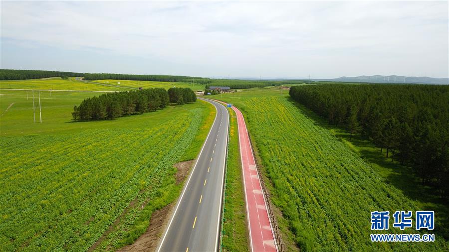 （新華全媒頭條&middot;圖文互動）（4）那一抹綠色，走進(jìn)越來越多人心里&mdash;&mdash;河北塞罕壩續(xù)寫新時代綠色傳奇