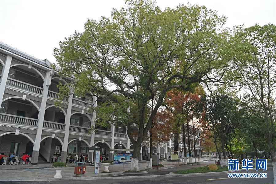 （慶祝改革開放40周年基層行&middot;學(xué)校篇&middot;圖文互動(dòng)）（9）白鷺洲中學(xué)40年:書院教育的時(shí)代探索