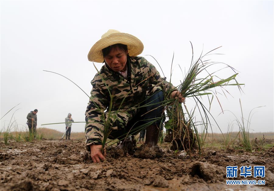 （新華視點(diǎn)&middot;回望2018&middot;圖文互動(dòng)）（3）2018年新華社曝光多起破壞生態(tài)事件，記者年底追訪發(fā)現(xiàn)&hellip;&hellip;