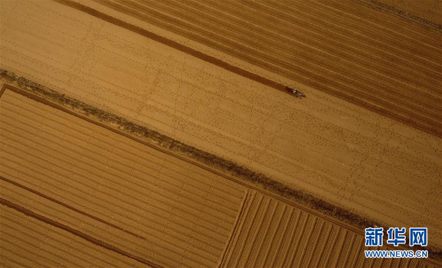 （百城百縣百企調(diào)研行&middot;圖文互動(dòng)）（2）海南農(nóng)墾：農(nóng)業(yè)&ldquo;國家隊(duì)&rdquo;打贏改革&ldquo;翻身仗&rdquo;