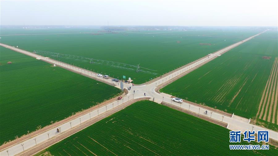 （來自一線的調(diào)查報(bào)告&middot;圖文互動(dòng)）（1）從&ldquo;填飽肚子&rdquo;到&ldquo;過好日子&rdquo;&mdash;&mdash;改革開放40年河南農(nóng)業(yè)三重&ldquo;蝶變記&rdquo;