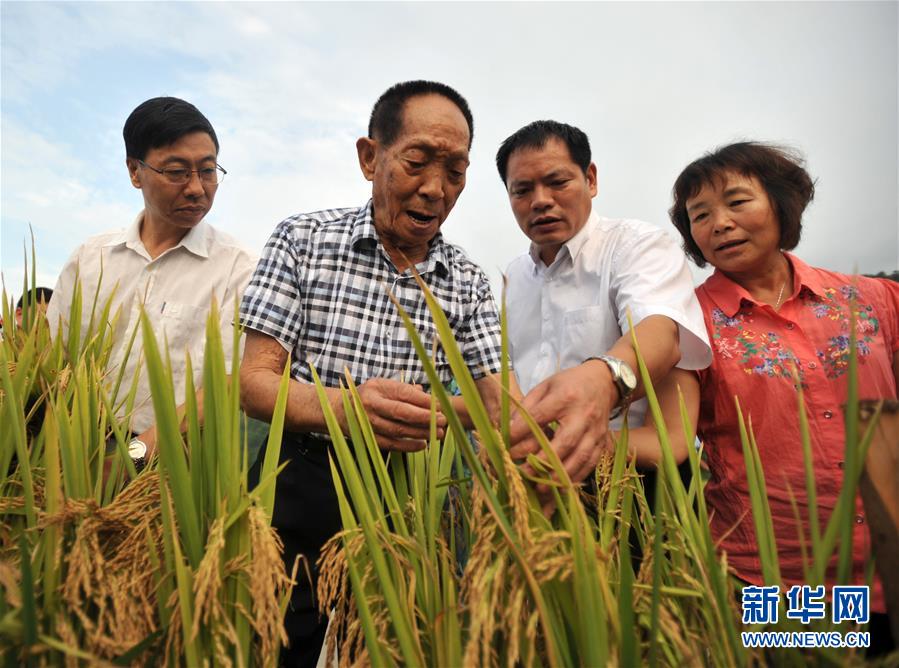 （新華全媒頭條&middot;圖文互動(dòng)）（14）在時(shí)代大潮中書寫時(shí)代傳奇&mdash;&mdash;致敬百名改革先鋒 