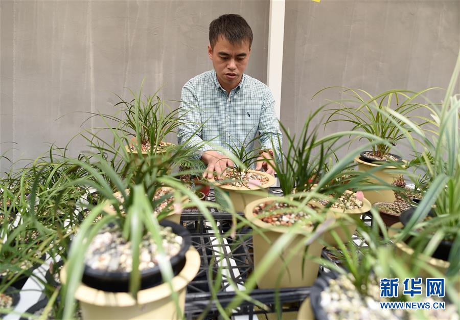 （圖文互動(dòng)）（6）建設(shè)好生態(tài)宜居的美麗鄉(xiāng)村&mdash;&mdash;從&ldquo;千萬(wàn)工程&rdquo;看習(xí)近平生態(tài)文明思想的生動(dòng)實(shí)踐和世界回響