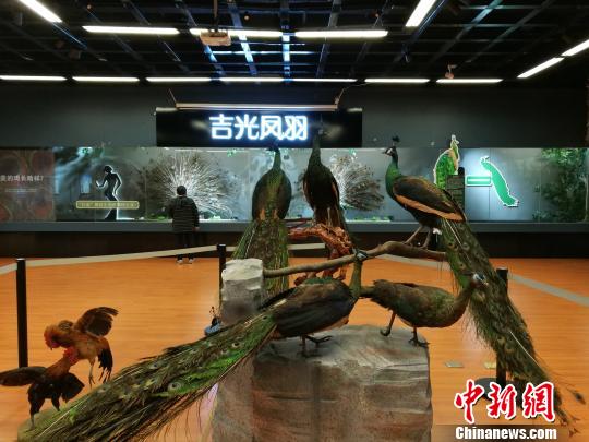 先有雞還是先有蛋？這個科普展覽有點&ldquo;不一般&rdquo;