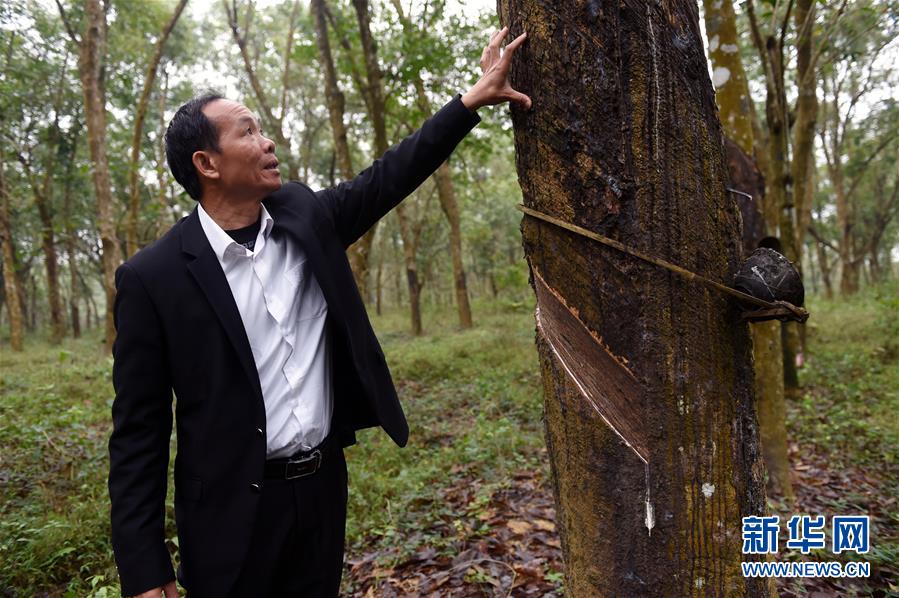 （兩會(huì)&middot;基層委員履職故事）（6）全國(guó)政協(xié)委員羊風(fēng)極：讓家鄉(xiāng)在鄉(xiāng)村振興中發(fā)展得更好