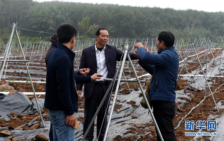 （兩會(huì)&middot;基層委員履職故事）（7）全國(guó)政協(xié)委員羊風(fēng)極：讓家鄉(xiāng)在鄉(xiāng)村振興中發(fā)展得更好