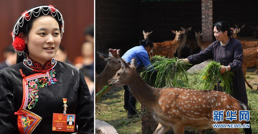 （兩會&middot;影像鏈接）全國人大代表雷金玉：努力吸引人才 推動鄉(xiāng)村振興