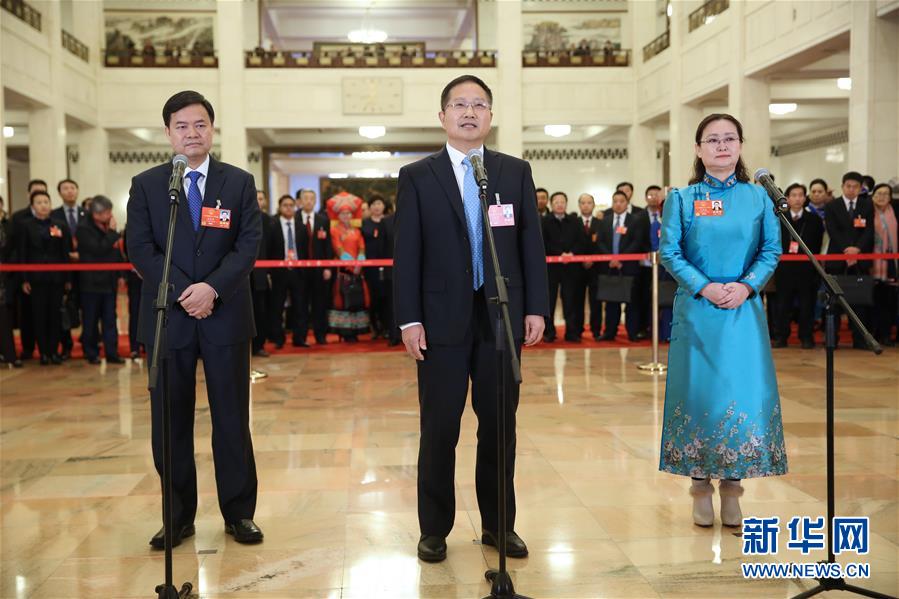 （兩會(huì)）（14）全國(guó)人大代表接受采訪(fǎng)