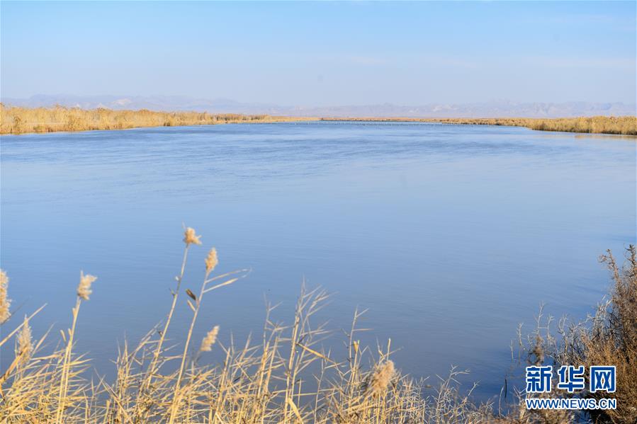 （在習(xí)近平新時(shí)代中國特色社會(huì)主義思想指引下&mdash;&mdash;新時(shí)代新作為新篇章&middot;圖文互動(dòng)）（1）打響綠色品牌 &ldquo;四控&rdquo;治污增效&mdash;&mdash;內(nèi)蒙古巴彥淖爾探索農(nóng)業(yè)高質(zhì)量發(fā)展