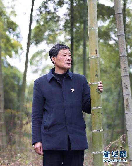 （改革先鋒風(fēng)采&middot;圖文互動）（1）鮑新民：&ldquo;綠水青山就是金山銀山&rdquo;理念的踐行者