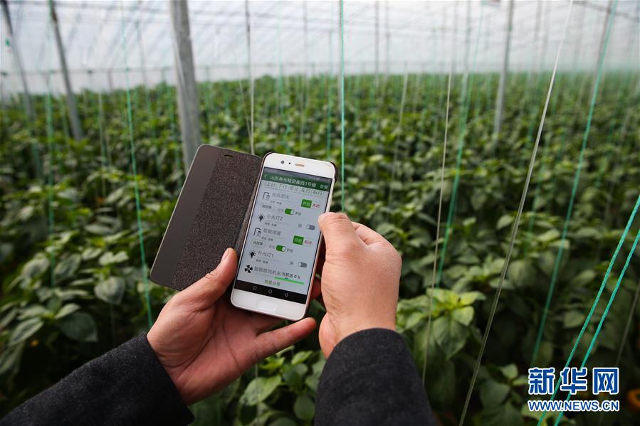 （新華全媒頭條&middot;圖文互動(dòng)）（8）聚焦高質(zhì)量，躍上新臺(tái)階&mdash;&mdash;新年開局看中國經(jīng)濟(jì)信心和潛力