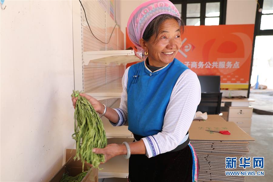 （新春走基層&middot;圖文互動(dòng)）（2）&ldquo;蒜農(nóng)&rdquo;不種蒜 買蒜過除夕&mdash;&mdash;洱海農(nóng)業(yè)綠色轉(zhuǎn)型見聞