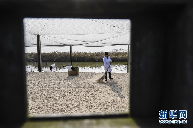 （兩會前夕看落實&middot;圖文互動）（3）綠色發(fā)展引領(lǐng) 守護&ldquo;魚米之鄉(xiāng)&rdquo;&mdash;&mdash;江蘇落實習(xí)近平總書記全國兩會重要講話精神紀(jì)實