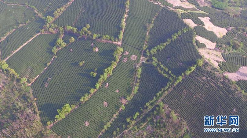 （兩會前夕看落實&middot;圖文互動）（9）綠色發(fā)展引領(lǐng) 守護&ldquo;魚米之鄉(xiāng)&rdquo;&mdash;&mdash;江蘇落實習(xí)近平總書記全國兩會重要講話精神紀(jì)實