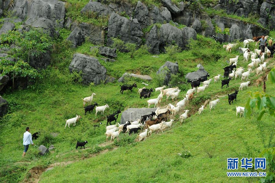 （兩會(huì)前夕看落實(shí)&middot;圖文互動(dòng)）（2）決戰(zhàn)脫貧攻堅(jiān) 奮力后發(fā)趕超&mdash;&mdash;貴州落實(shí)習(xí)近平總書(shū)記全國(guó)兩會(huì)重要講話精神紀(jì)實(shí)