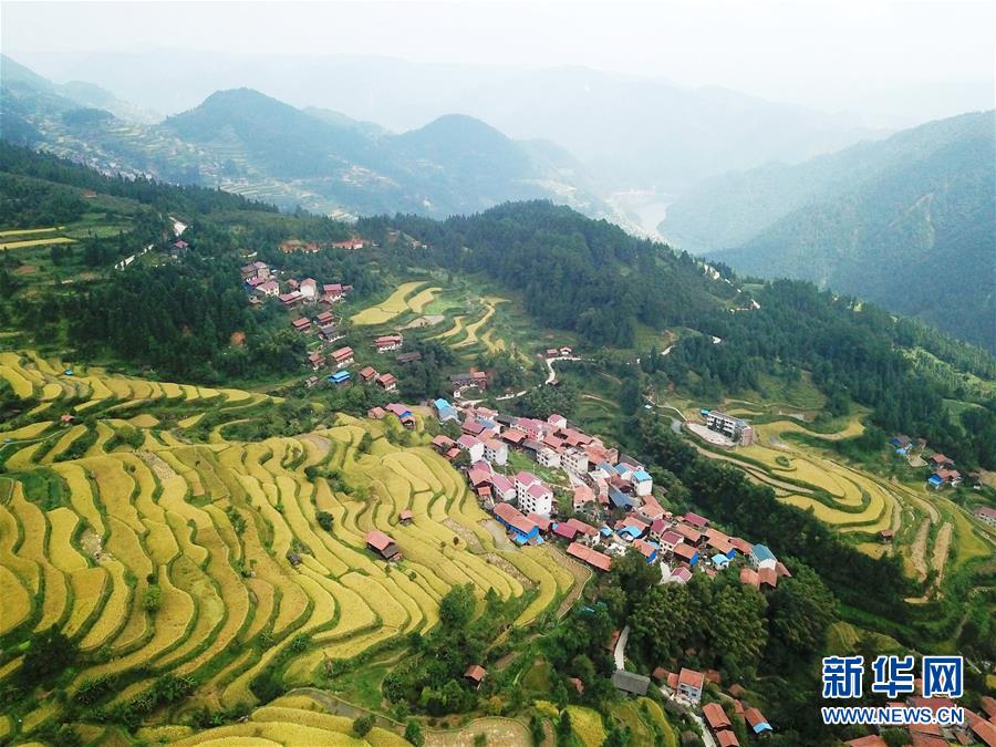 （兩會(huì)前夕看落實(shí)&middot;圖文互動(dòng)）（6）決戰(zhàn)脫貧攻堅(jiān) 奮力后發(fā)趕超&mdash;&mdash;貴州落實(shí)習(xí)近平總書(shū)記全國(guó)兩會(huì)重要講話精神紀(jì)實(shí)